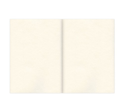 Скетчбук, слоновая кость 100 г/м2, 210х297 мм, 120 л., прошивка, BRAUBERG ART CLASSIC, 128960