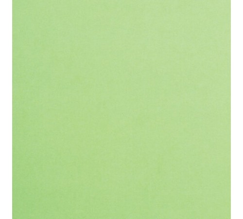 Картон цветной А4 ТОНИРОВАННЫЙ В МАССЕ, 50 листов, ЗЕЛЕНЫЙ, 220 г/м2, BRAUBERG, 210х297 мм, 128984