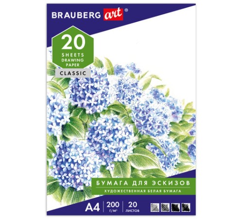 Папка для рисования А4, 20 л., 200 г/м2, BRAUBERG, 210х297 мм, 