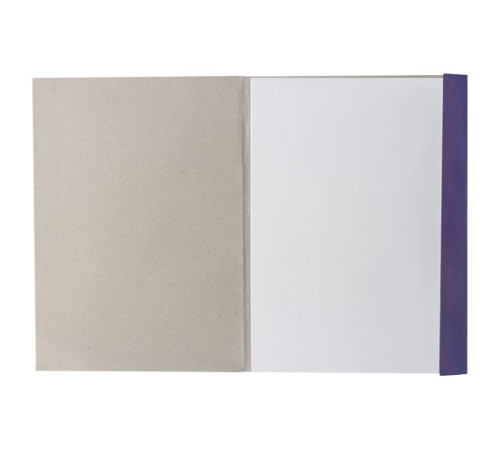 Папка для рисования А4, 20 л., 200 г/м2, BRAUBERG, 210х297 мм, 