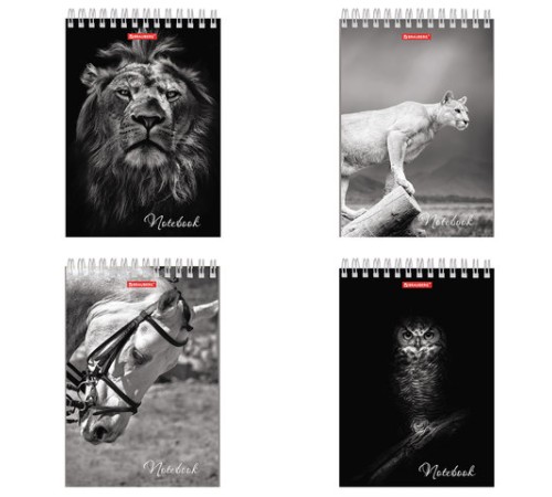 Блокнот А5 146х205 мм, 60 л., гребень, картон, жесткая подложка, клетка, BRAUBERG, 