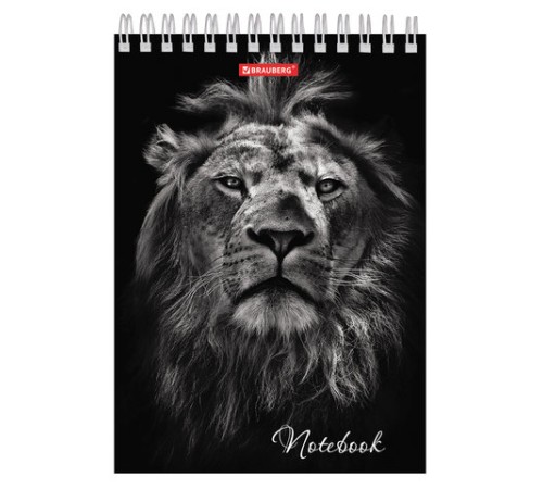 Блокнот А5 146х205 мм, 60 л., гребень, картон, жесткая подложка, клетка, BRAUBERG, 