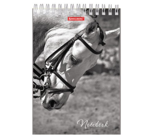 Блокнот А5 146х205 мм, 60 л., гребень, картон, жесткая подложка, клетка, BRAUBERG, 