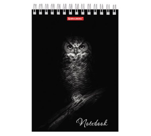 Блокнот А5 146х205 мм, 60 л., гребень, картон, жесткая подложка, клетка, BRAUBERG, 