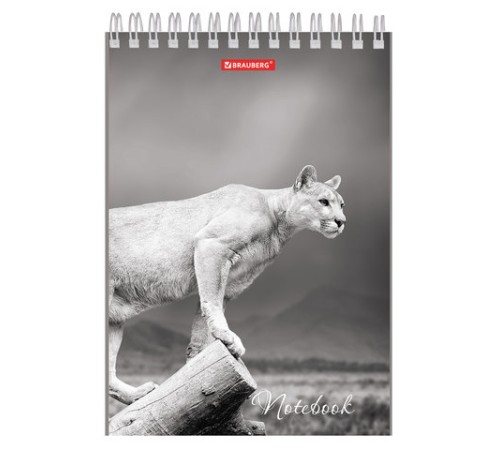 Блокнот А5 146х205 мм, 60 л., гребень, картон, жесткая подложка, клетка, BRAUBERG, 