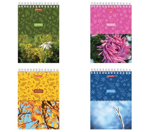 Блокнот А5 146х205 мм, 60 л., гребень, картон, жесткая подложка, клетка, BRAUBERG, 