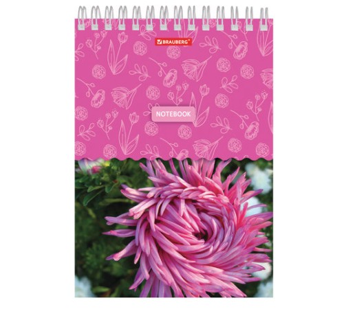 Блокнот А5 146х205 мм, 60 л., гребень, картон, жесткая подложка, клетка, BRAUBERG, 