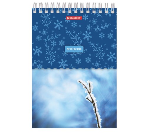 Блокнот А5 146х205 мм, 60 л., гребень, картон, жесткая подложка, клетка, BRAUBERG, 