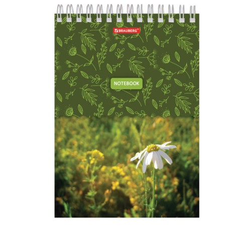 Блокнот А5 146х205 мм, 60 л., гребень, картон, жесткая подложка, клетка, BRAUBERG, 