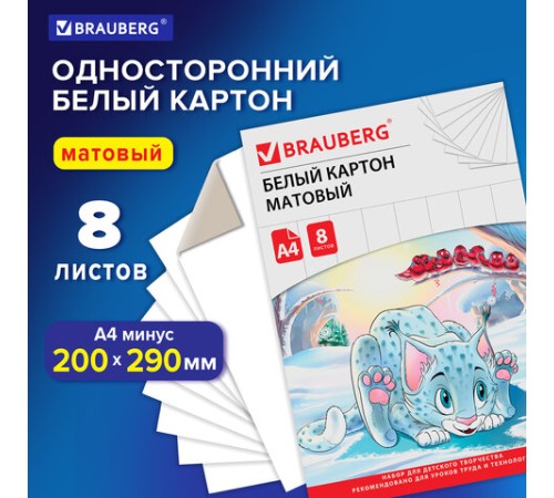 Картон белый А4 немелованный (матовый), 8 листов, в папке, BRAUBERG, 200х290 мм, 