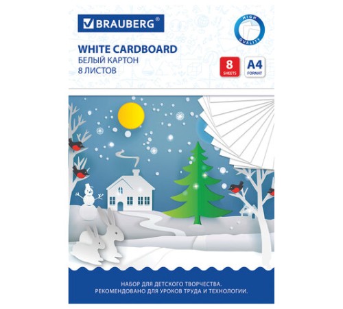 Картон белый А4 немелованный (матовый), 8 листов, в папке, BRAUBERG, 200х290 мм, 