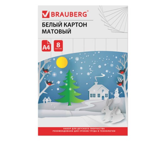 Картон белый А4 немелованный (матовый), 8 листов, в папке, BRAUBERG, 200х290 мм, 