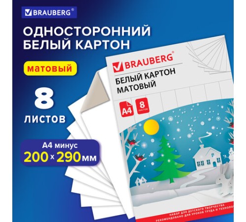 Картон белый А4 немелованный (матовый), 8 листов, в папке, BRAUBERG, 200х290 мм, 