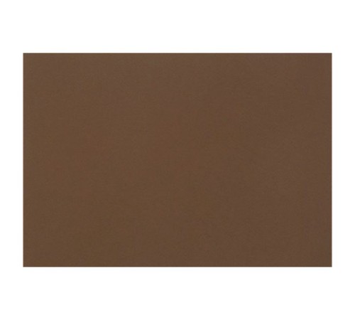 Бумага для пастели (1 лист) FABRIANO Tiziano А2+ (500х650 мм), 160 г/м2, кофейный, 52551009
