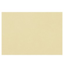 Бумага для пастели (1 лист) FABRIANO Tiziano А2+ (500х650 мм), 160 г/м2, песочный, 52551006