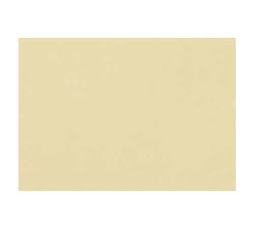 Бумага для пастели (1 лист) FABRIANO Tiziano А2+ (500х650 мм), 160 г/м2, песочный, 52551006