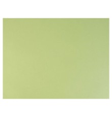 Бумага для пастели (1 лист) FABRIANO Tiziano А2+ (500х650 мм), 160 г/м2, салатовый теплый, 52551011