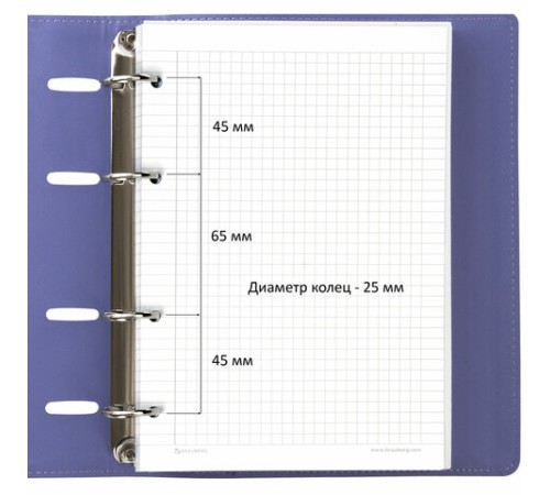 Тетрадь на кольцах А5 (180х220 мм), 120 листов, под кожу, клетка, BRAUBERG 