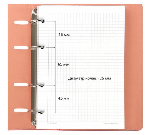 Тетрадь на кольцах А5 (180х220 мм), 120 листов, под кожу, клетка, BRAUBERG 