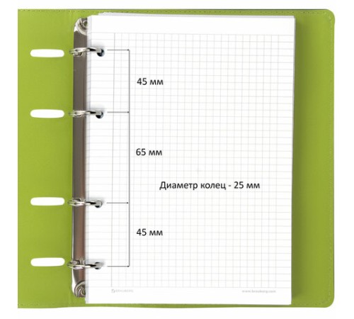 Тетрадь на кольцах А5 (180х220 мм), 120 листов, под кожу, клетка, BRAUBERG 