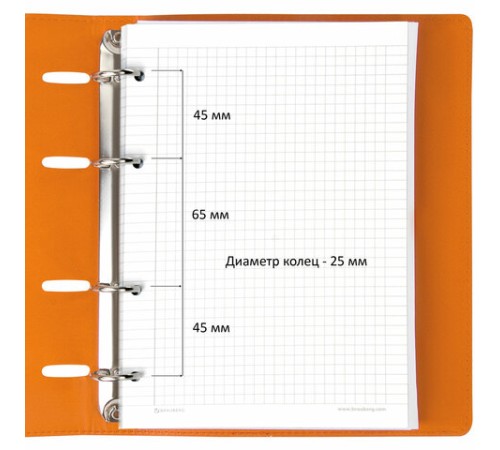 Тетрадь на кольцах А5 (180х220 мм), 120 листов, под кожу, клетка, BRAUBERG 
