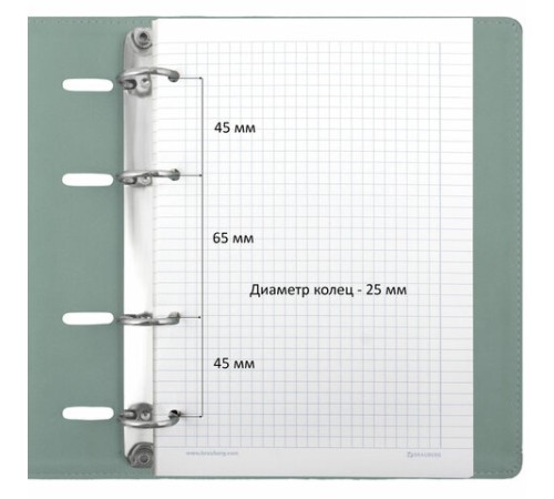 Тетрадь на кольцах А5 (180х220 мм), 120 листов, под кожу, клетка, BRAUBERG 