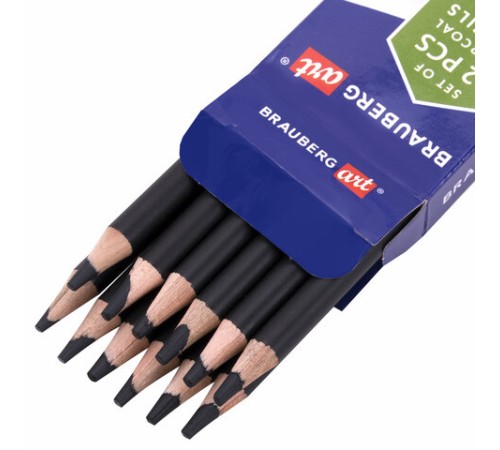 Карандаши (НАБОР 12 штук) угольные BRAUBERG ART CLASSIC, (МЯГКИЙ, СРЕДНИЙ, ТВЕРДЫЙ), 181293