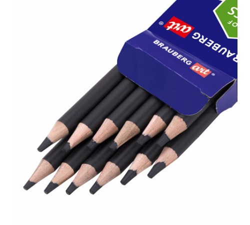 Карандаши (НАБОР 12 штук) угольные BRAUBERG ART CLASSIC, (МЯГКИЙ, СРЕДНИЙ, ТВЕРДЫЙ), 181293