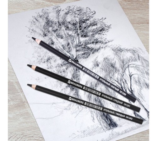 Карандаши (НАБОР 12 штук) угольные BRAUBERG ART CLASSIC, (МЯГКИЙ, СРЕДНИЙ, ТВЕРДЫЙ), 181293