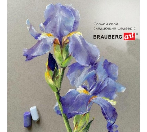 Пастель сухая художественная BRAUBERG ART CLASSIC, 48 цветов, круглое сечение, 181456