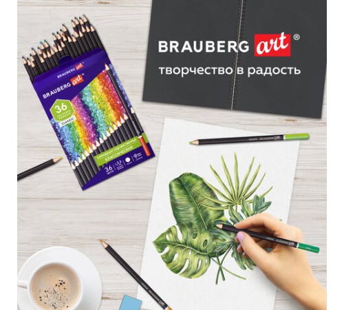 Карандаши художественные цветные BRAUBERG ART CLASSIC, 36 цветов, МЯГКИЙ грифель 3,3 мм, 181538