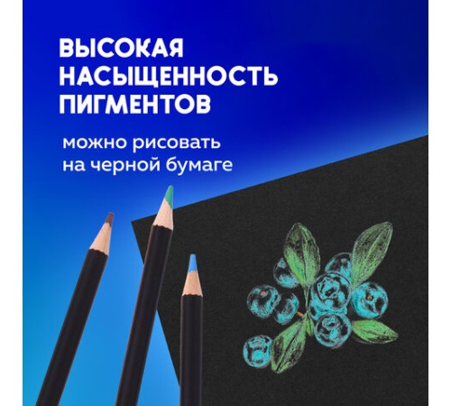 Карандаши художественные цветные BRAUBERG ART CLASSIC, 48 цветов, МЯГКИЙ грифель 3,3 мм, 181539