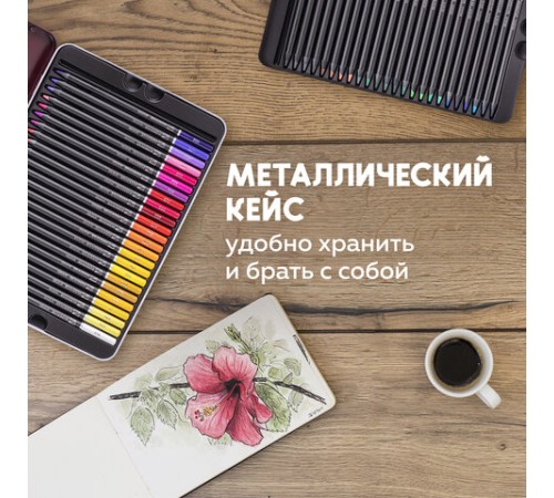 Карандаши цветные художественные BRAUBERG ART PREMIERE, НАБОР 48 цветов, 4 мм, металл кейс, 181694