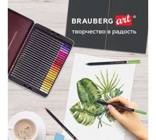 Карандаши цветные художественные BRAUBERG ART PREMIERE, НАБОР 48 цветов, 4 мм, металл кейс, 181694