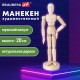 Манекен человека художественный BRAUBERG ART CLASSIC, мужской, дерево, высота 20 см., 191287