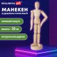 Манекен человека художественный BRAUBERG ART CLASSIC, женский, дерево, высота 20 см., 191288