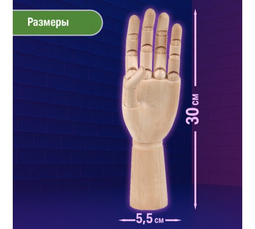 Манекен художественный BRAUBERG ART CLASSIC 