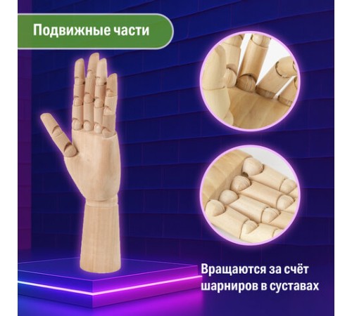 Манекен художественный BRAUBERG ART CLASSIC 