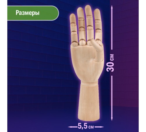 Манекен художественный BRAUBERG ART CLASSIC 