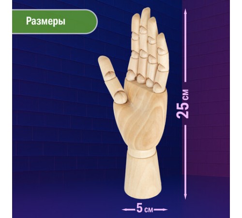 Манекен художественный BRAUBERG ART CLASSIC 