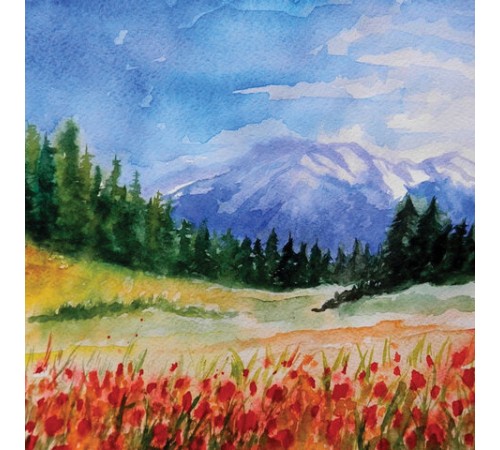 Краски акварельные ГАММА 