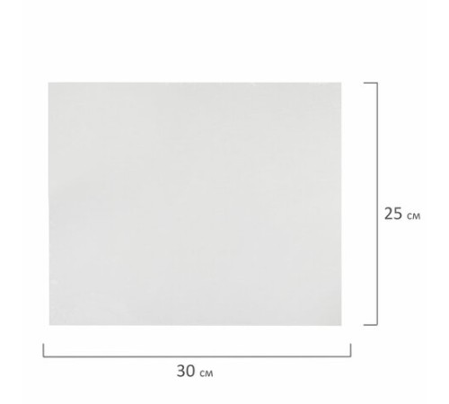 Холст на картоне, 25х30 см, грунтованный, хлопок, мелкое зерно, BRAUBERG ART CLASSIC, 191670