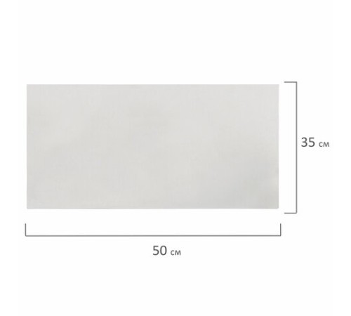 Холст на картоне, 20х40 см, грунтованный, хлопок, мелкое зерно, BRAUBERG ART CLASSIC, 191671