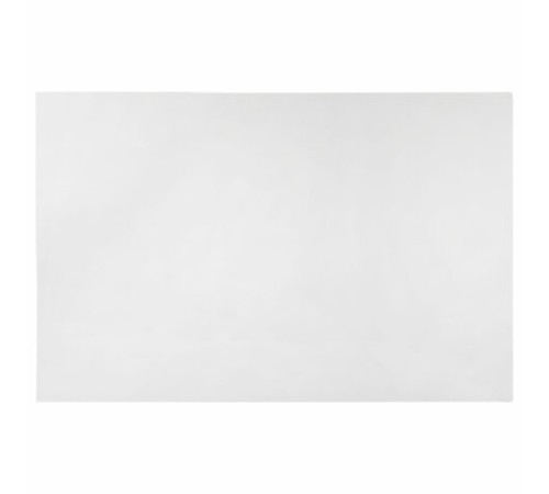 Холст на картоне, 40х60 см, грунтованный, хлопок, мелкое зерно, BRAUBERG ART CLASSIC, 191676