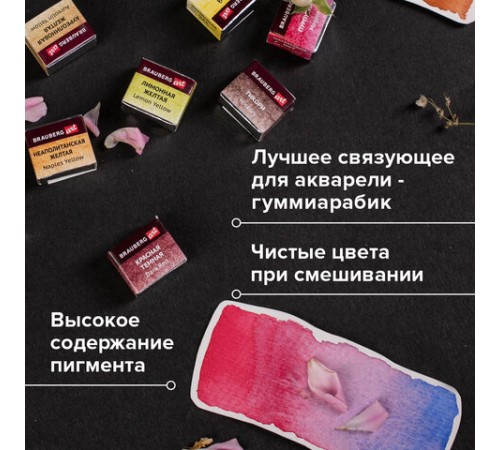 Акварель художественная кюветы НАБОР 24 цвета по 3,5 г, металлический кейс, BRAUBERG ART PREMIERE, 191773