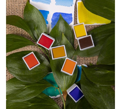 Акварель художественная в кюветах НАБОР 12 цветов по 2,5 г, BRAUBERG ART DEBUT, 191776