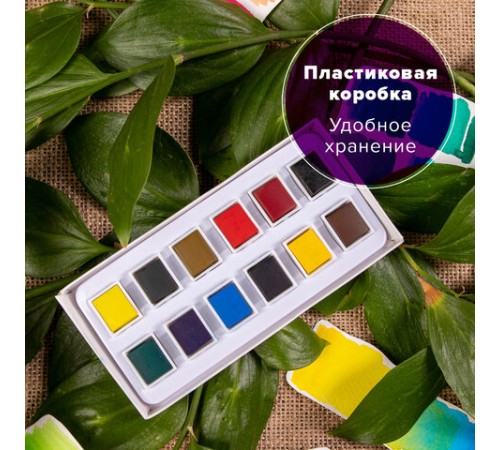 Акварель художественная в кюветах НАБОР 12 цветов по 2,5 г, BRAUBERG ART DEBUT, 191776