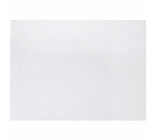 Холст на картоне, 20х30 см, 280 г/м2, грунтованный, 100% хлопок, BRAUBERG ART CLASSIC, 192184