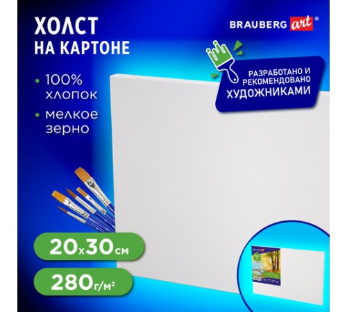 Холст на картоне, 20х30 см, 280 г/м2, грунтованный, 100% хлопок, BRAUBERG ART CLASSIC, 192184