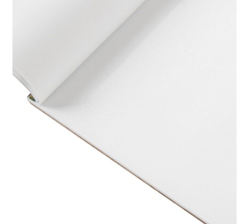 Палитра для красок бумажная 40 отрывных листов 23х30,5 см, BRAUBERG ART CLASSIC, 192234